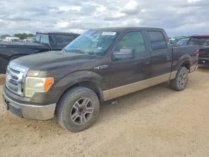 Ford F-150 4.6L 8 2009