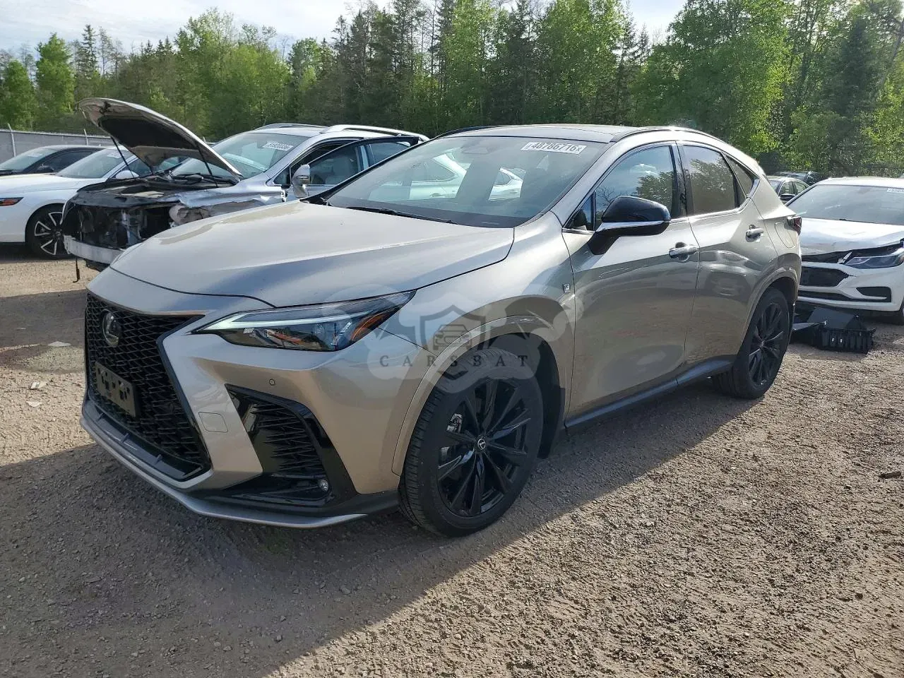 Lexus NX 2.4L 4 2024