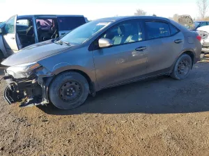 Toyota Corolla 1.8L 4 2019