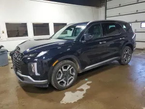 Hyundai Palisade 3.8L 6 2024