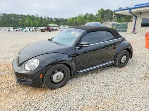 Volkswagen Beetle 1.8L 4 2014