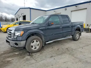 Ford F-150 4.6L 8 2010