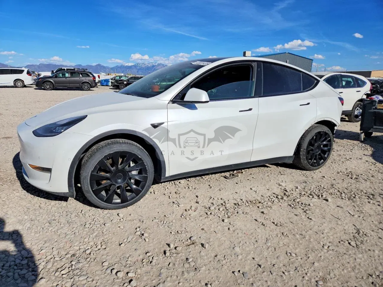 Tesla Model Y 2021
