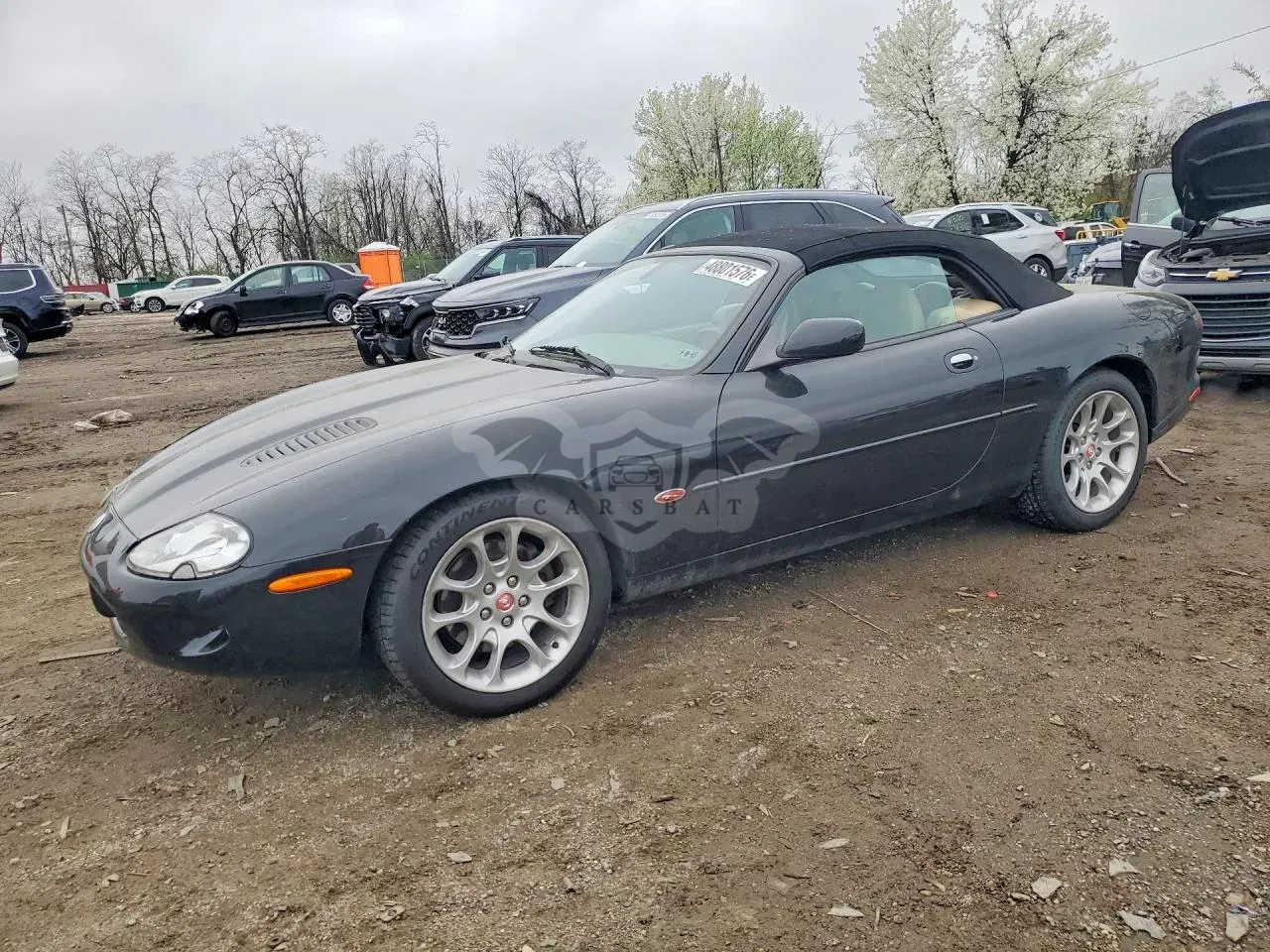 Jaguar XKR 4.0L 8 2000