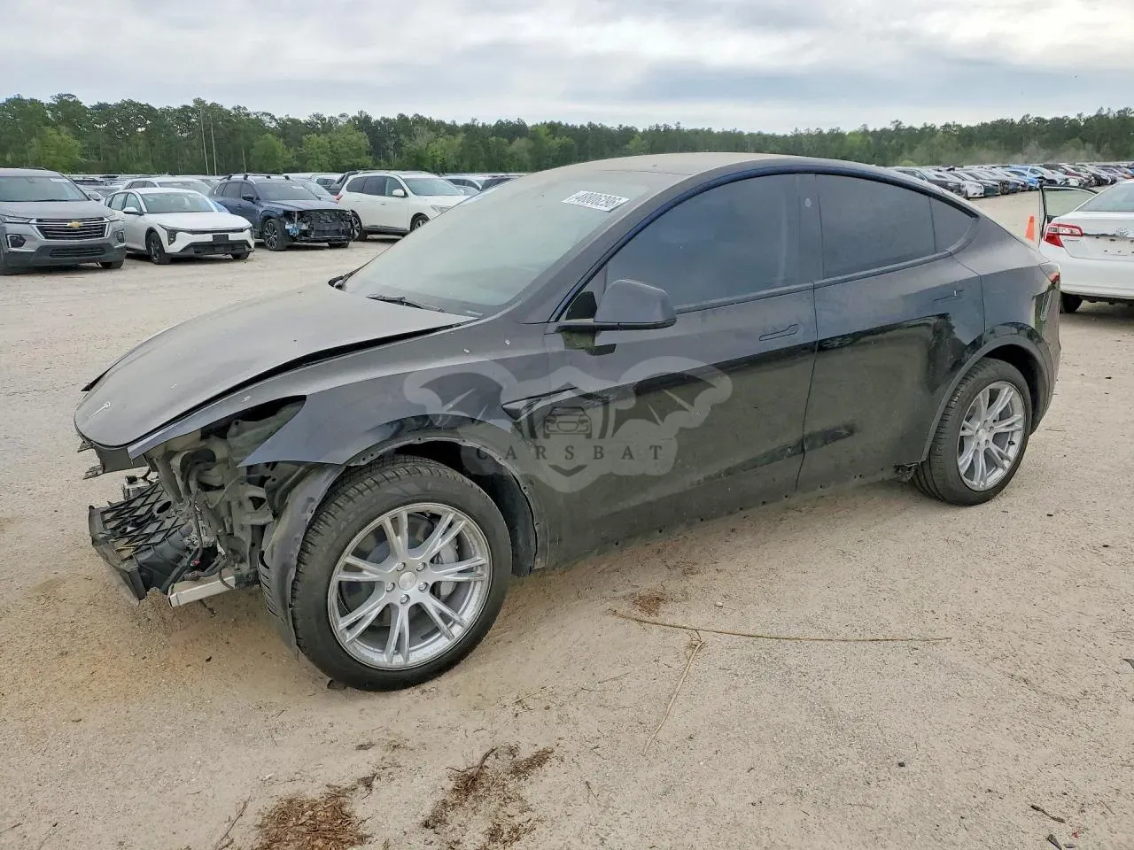 Tesla Model Y 2024