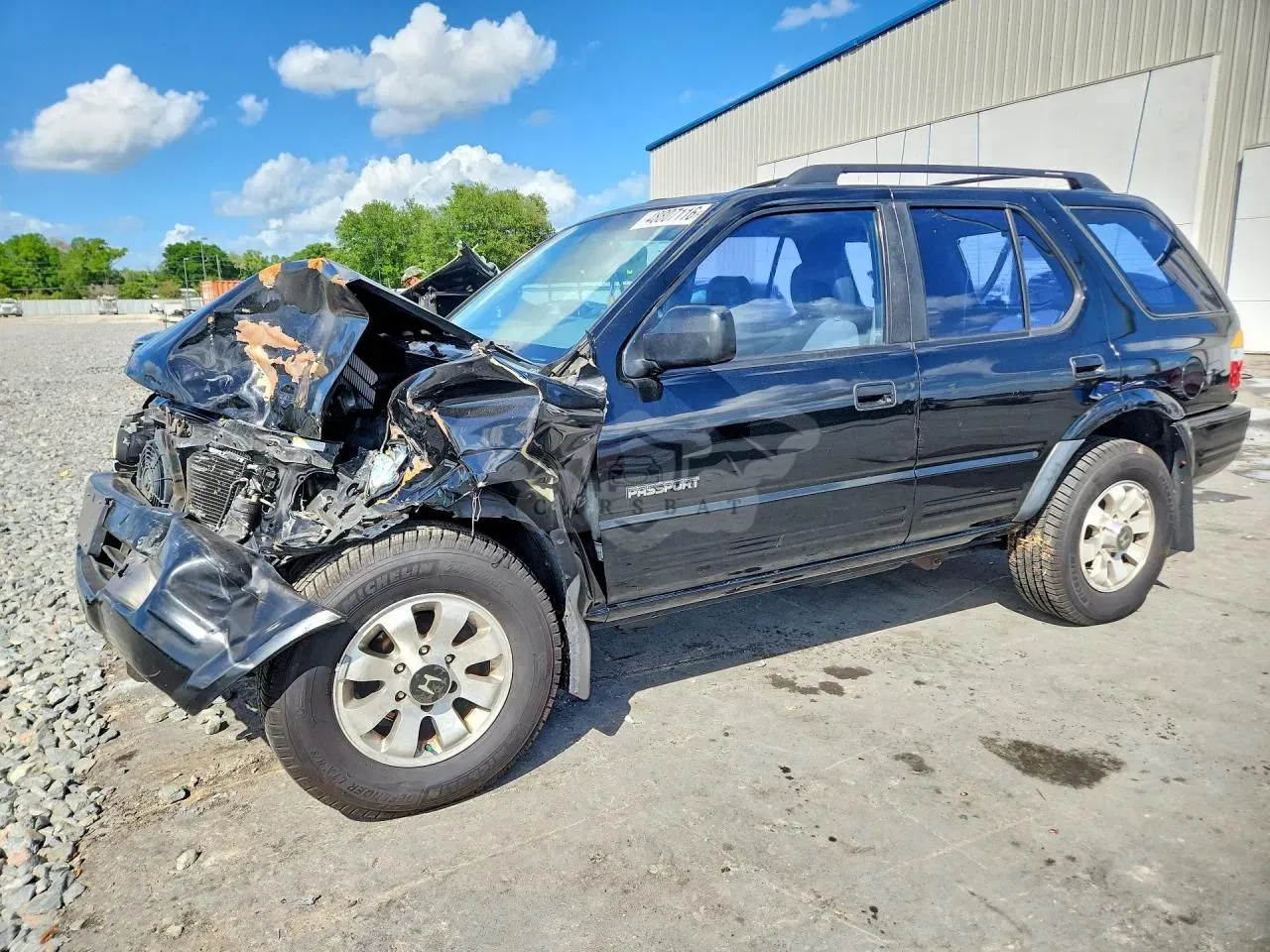 Honda Passport 3.2L 6 1998