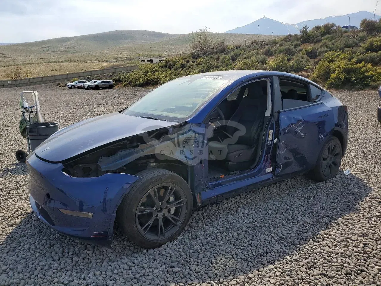 Tesla Model Y 2025