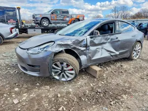 Tesla Model 3 2019