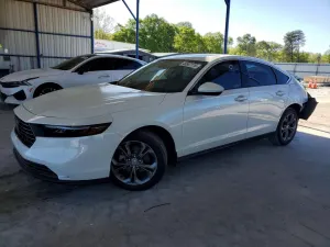 Honda Accord 1.5L 4 2024