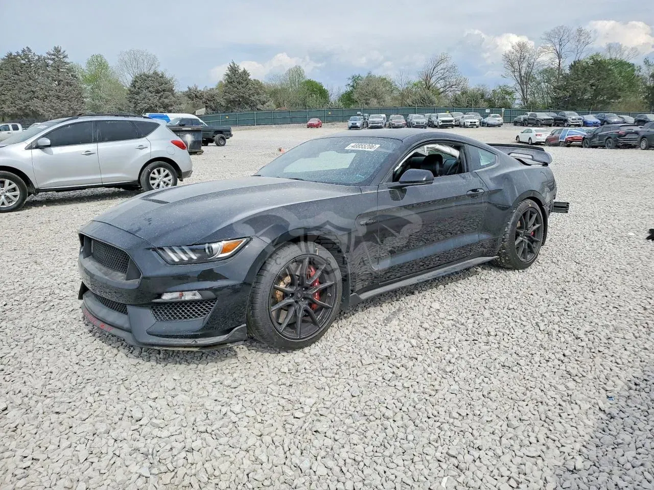 Ford Mustang 5.2L 8 2019