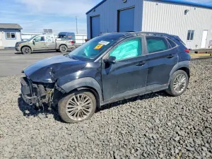 Hyundai Kona 2.0L 4 2019