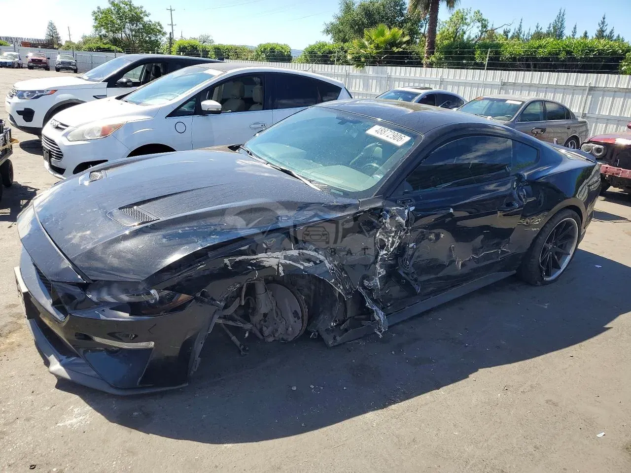 Ford Mustang 5.0L 8 2020