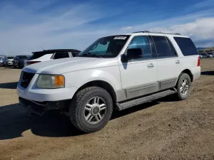 Ford Expedition 4.6L 8 2003