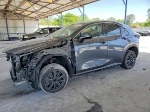 Lexus NX 2.4L 4 2025
