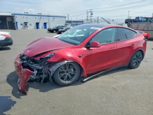 Tesla Model Y 2024