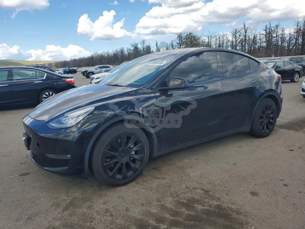 Tesla Model Y 2021