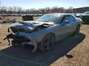 Dodge Challenger 6.4L 8 2019