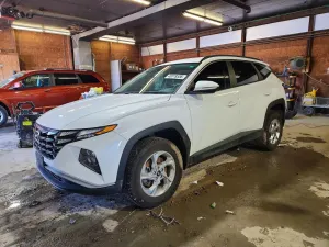 Hyundai Tucson 2.5L 4 2022