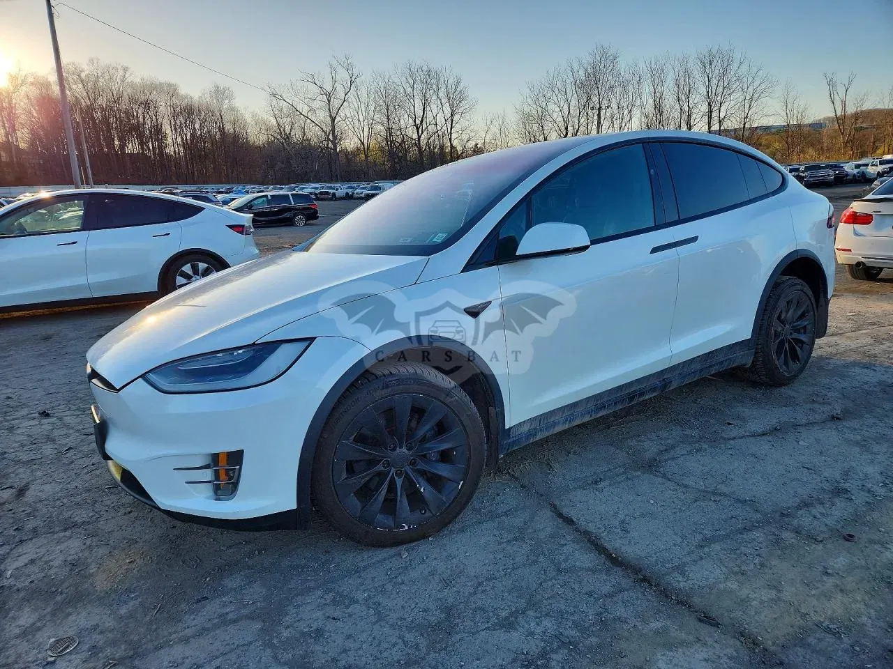 Tesla Model X 2019