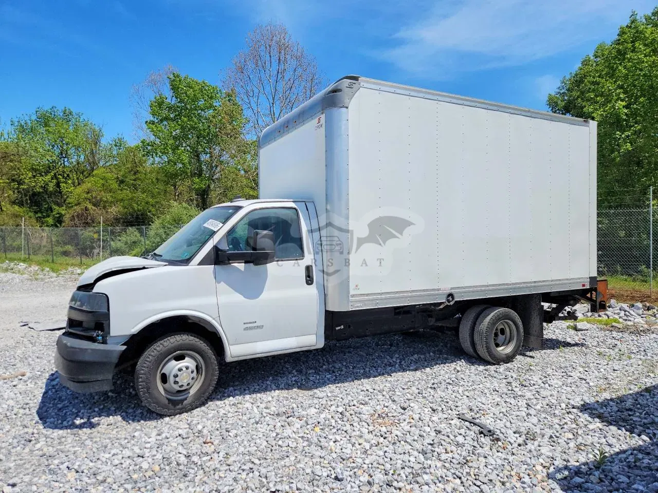 Chevrolet Express 6.6L 8 2021