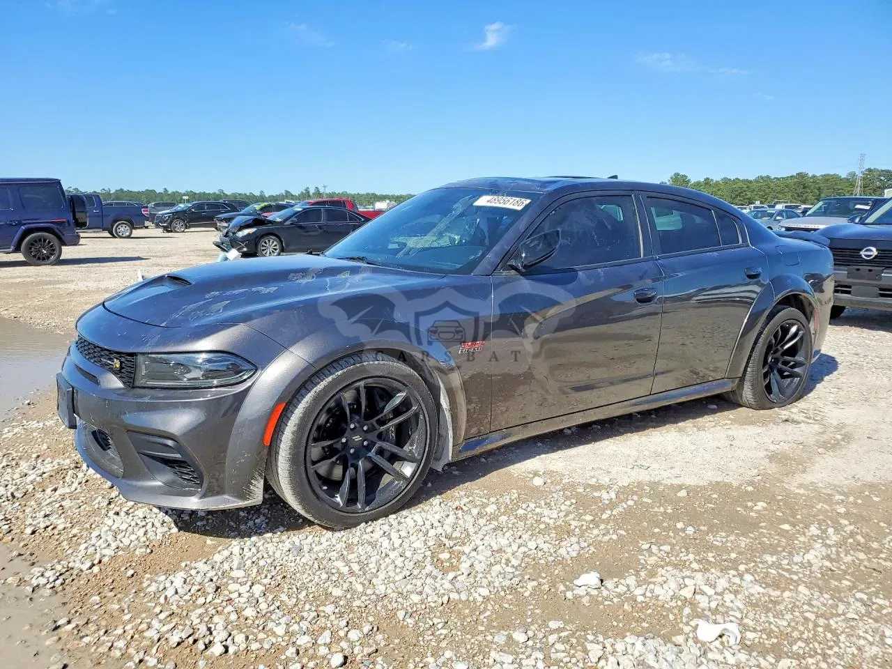 Dodge Charger 6.4L 8 2023