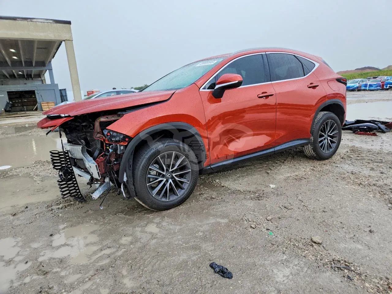 Lexus NX 2.4L 4 2023