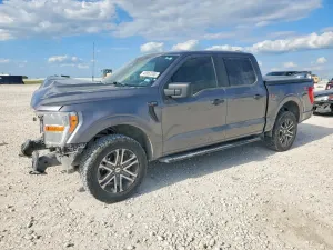Ford F-150 5.0L 8 2021