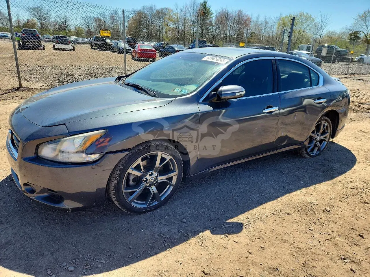 Nissan Maxima 2013