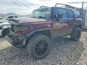 Toyota FJ Cruiser 4.0L 6 2007