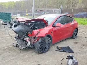 Tesla Model Y 2021
