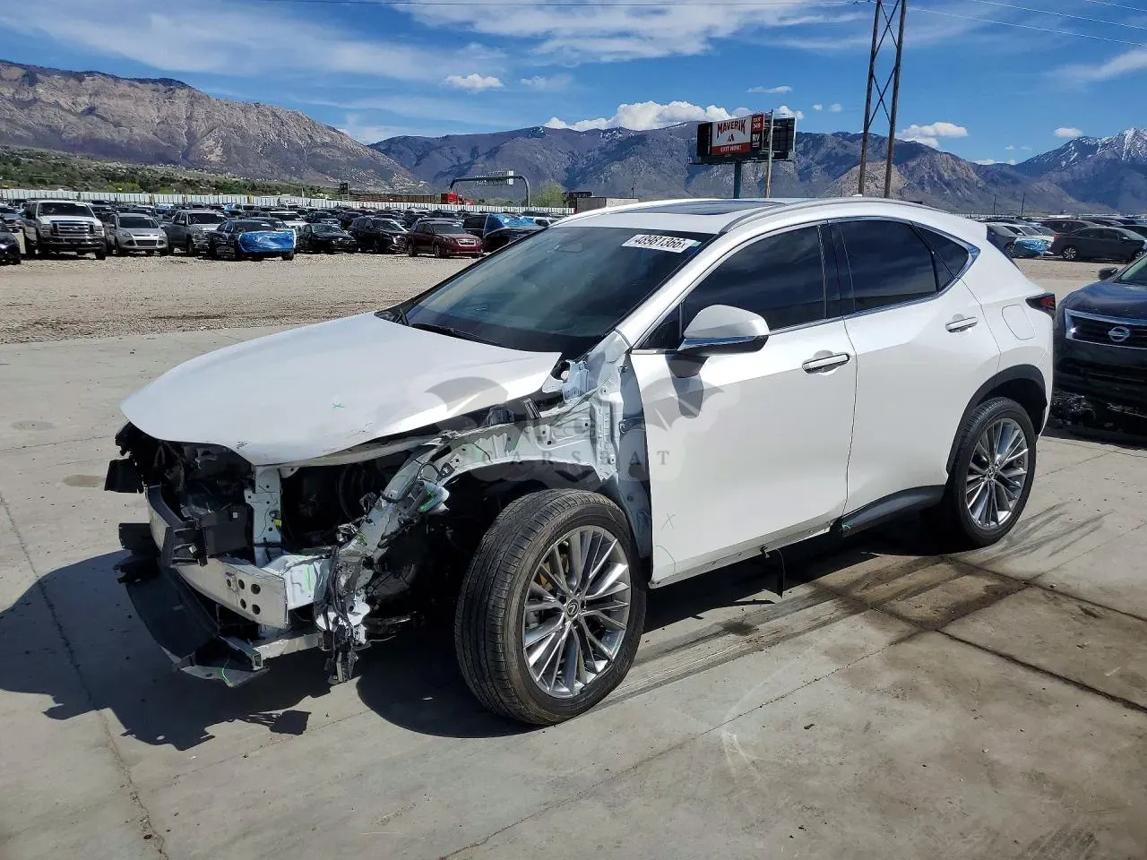 Lexus NX 2.4L 4 2022