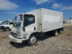 Isuzu NPR 6.6L 8 2024