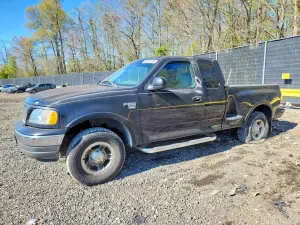 Ford F-150 4.6L 8 1999