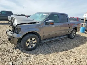 Ford F-150 4.6L 8 2010