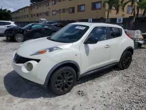Nissan Juke 1.6L 4 2013