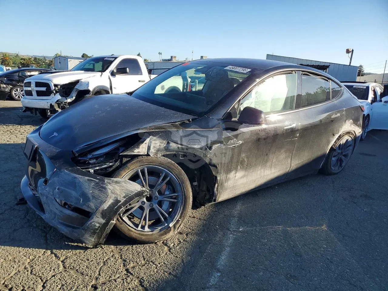Tesla Model Y 2025