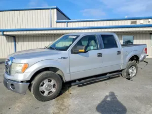 Ford F-150 4.6L 8 2010