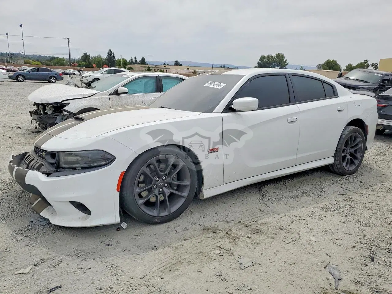 Dodge Charger 6.4L 8 2020