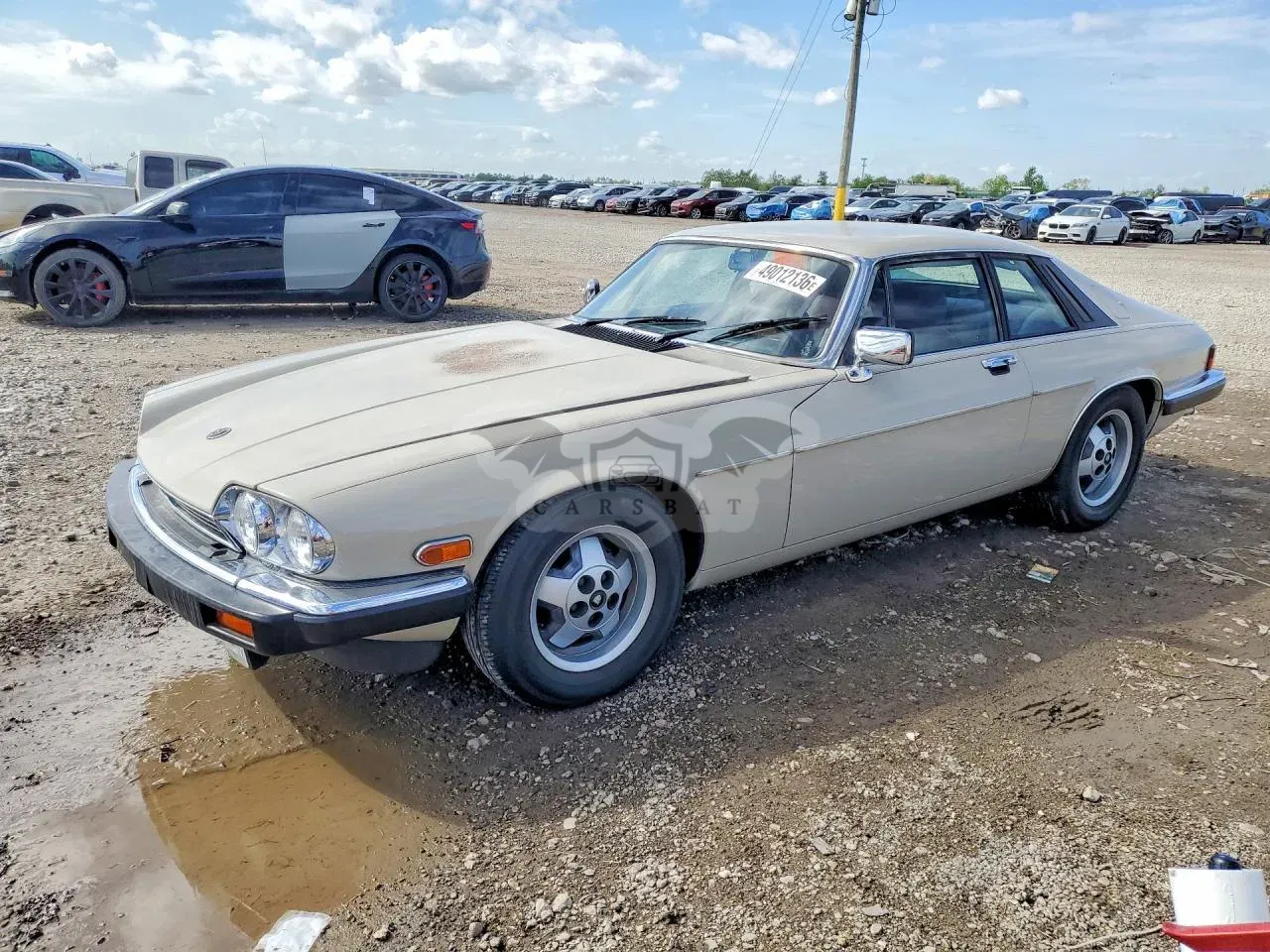 Jaguar XJS 5.3L 12 1984