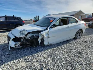 BMW 2 Series 2.0L 4 2015