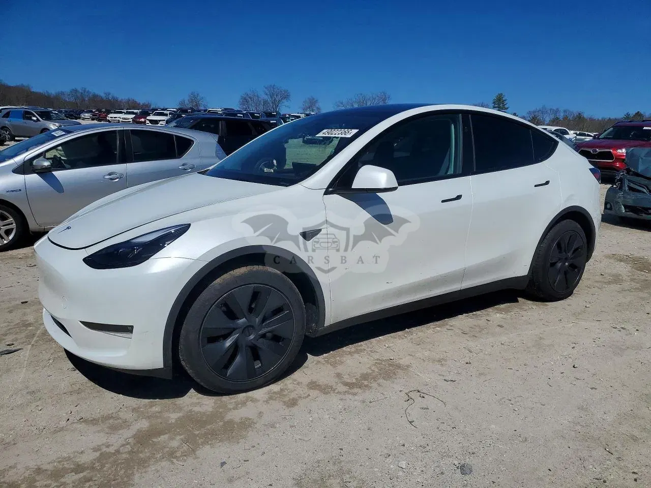 Tesla Model Y 2024