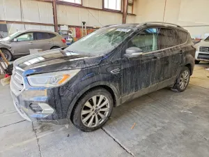 Ford Escape 2.0L 4 2017