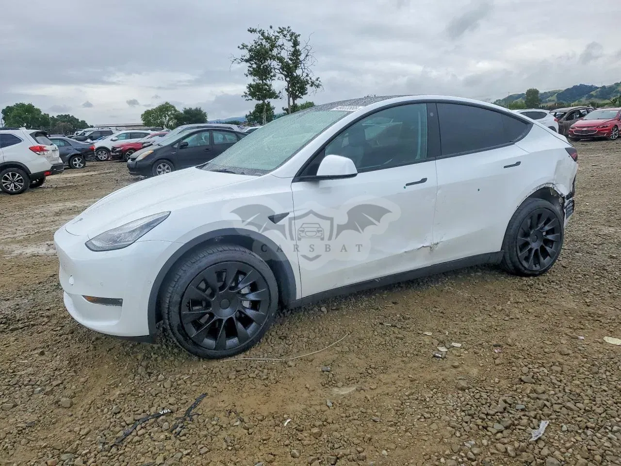 Tesla Model Y 2021