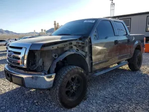 Ford F-150 4.6L 8 2010