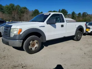 Ford F-150 4.6L 8 2009