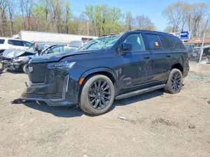 Cadillac Escalade 6.2L 8 2024