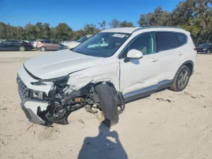 Hyundai Santa Fe 2.5L 4 2021