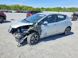 Nissan Leaf 0.0L 0 2013