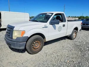 Ford F-150 4.6L 8 2009