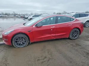 Tesla Model 3 2019